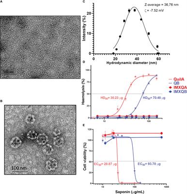 Quillaja brasiliensis nanoparticle adjuvant formulation improves the efficacy of an inactivated trivalent influenza vaccine in mice